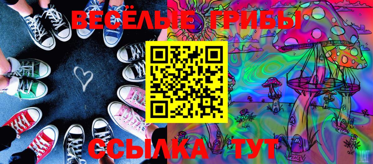 Галлюциногенные грибы Psilocybine cubensis Энгельс